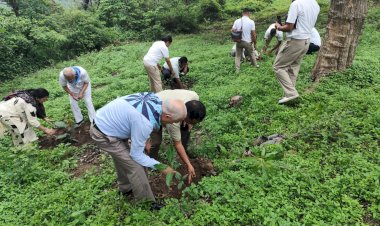 श्री सत्य साई बाबा की जन्म शताब्दी वर्ष के उपलक्ष्य में वृक्षारोपण अभियान ...