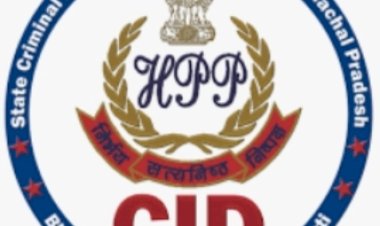 बादल फटने की घटना के बाद पंडोह डैम में एकत्रित वन लकड़ियों की जांच करेगी सीआईडी