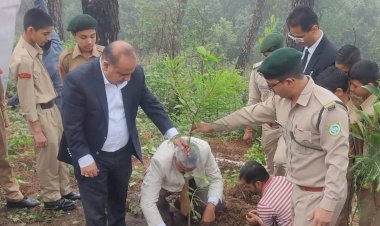 विधिक सेवा प्राधिकरण जिला कांगड़ा द्वारा किया गया पौधारोपण