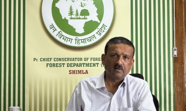 प्रदेश की 1820 हेक्टेयर भूमि पर हरियाली लाने का संकल्प, वन विभाग और जाइका वानिकी परियोजना ने रखा लक्ष्य