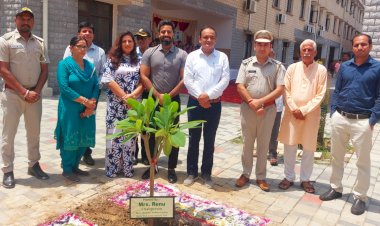 जिला रेड क्रॉस सोसाइटी ऊना ने पर्यावरण सरंक्षण की अनूठी पहल में वितरित किए 1600 फलदार पौधे