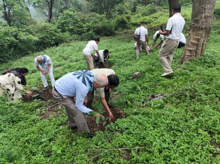 श्री सत्य साई बाबा की जन्म शताब्दी वर्ष के उपलक्ष्य में वृक्षारोपण अभियान ...