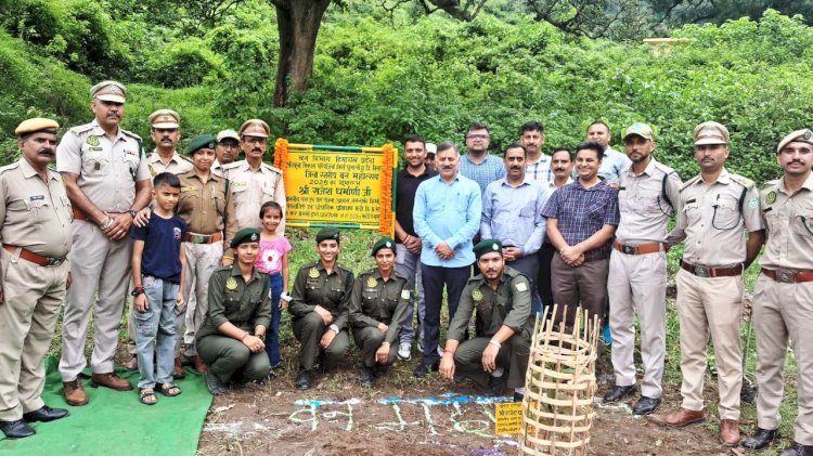 कोठी पंचायत में जिला स्तरीय वन महोत्सव का आयोजन, मंत्री राजेश धर्मानी ने किया पौधारोपण