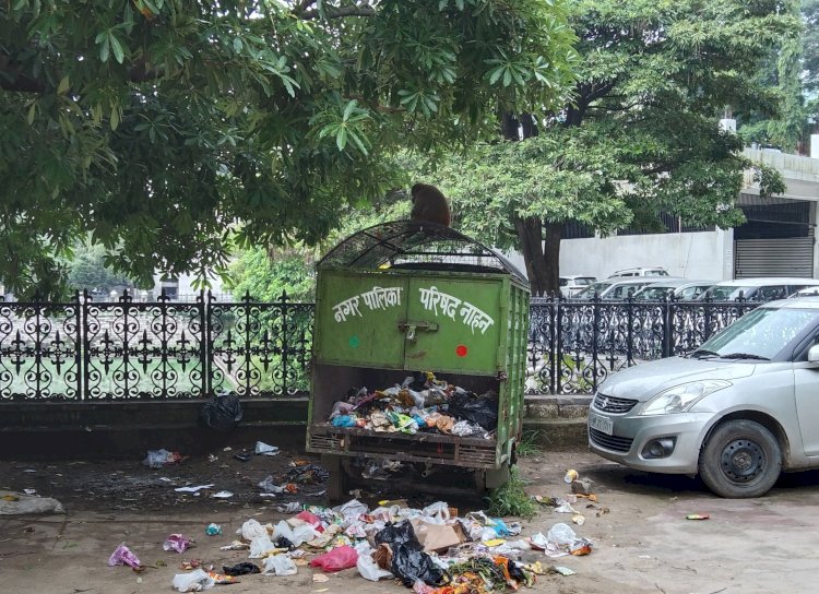 क्यों फिसल गया नगीना नाहन स्वच्छता रैंकिंग में: सूबे के टॉप टेन में भी नहीं रहा...ऐसा क्यों.... अरुण साथी