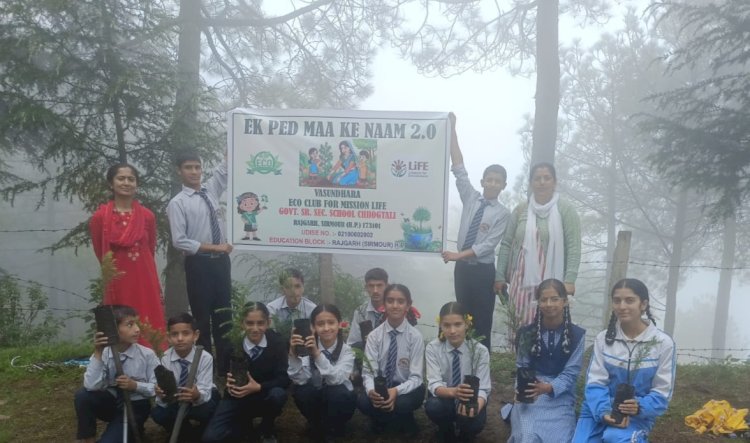 छोगटाली विद्यालय के वसुंधरा इको क्लब ने रोपी हरियाली....