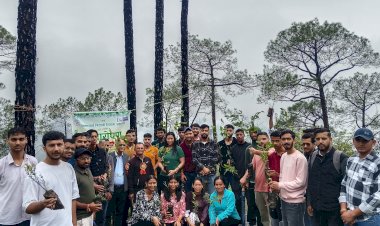 सुनील उपाध्याय एजुकेशनल ट्रस्ट व विकासार्थ विद्यार्थी शिमला महानगर ने किया पौधारोपण