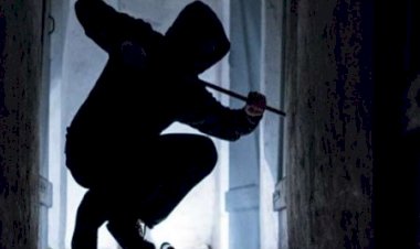 नौहराधार : भविष्य निधि सोसाइटी ऑफिस से 50 हजार ले उड़े, पुलिस में जांच में जुटी...