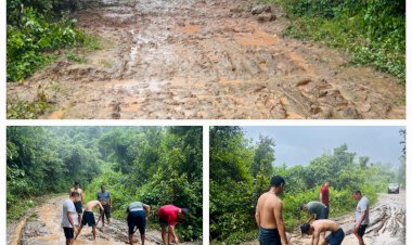 अनदेखी का कड़वा सच: 20 साल बीते नही बनी धार क्यारी-मंझौली गांव की  पक्की सड़क..बरसात में ग्रामीण जीते हैं नरकीय जीवन..