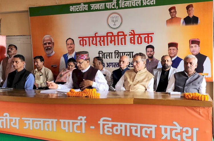 भाजपा ज़िला शिमला की बैठक में उठा सेवा पखवाड़ा का मुद्दे, बिंदल ने दिए दिशा निर्देश