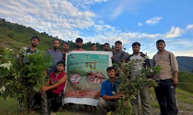 जाहर वीर युवा क्लब खिजवाडी ने एक पेड़ के माँ के नाम पर किया पौधारोपण