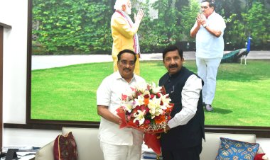 उप-मुख्यमंत्री ने केन्द्रीय जल संसाधन मंत्री से भेंट की