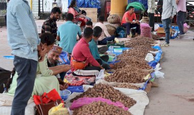 नई फसल के आगमन का प्रतीक है सैर पर्व, पेठू पूजन से लेकर अखरोट खेलने की रही है परंपरा