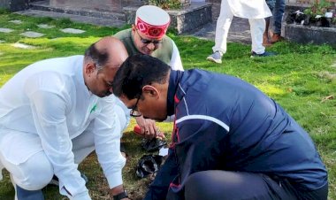 भाजपा संगठन महामंत्री ने सेवा पखवाड़ा एक पेड़ मां के नाम कार्यक्रम में भाग किया