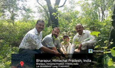 मियांवाकी साइट खरडू बीट रेंज गिरिनगर भारापुर में रोपे 100 से अधिक पौधे, बीपीपीओ माजरा की अगुवाई में चला अभियान 