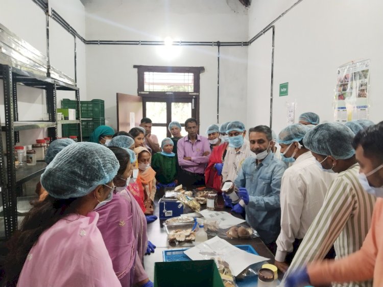 शिटाके मशरूम प्रसंस्करण पर दो दिवसीय प्रशिक्षण सम्पन्न