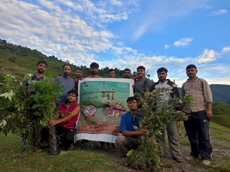 जाहर वीर युवा क्लब खिजवाडी ने एक पेड़ के माँ के नाम पर किया पौधारोपण