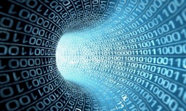 राज्य में डिजिटल गवर्नेंस अभियान ने हासिल की रिकॉर्ड उपलब्धि, एक वर्ष में 22.78 लाख सेवाएं प्रदान की गई