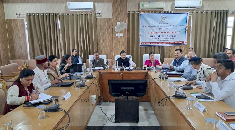 जिला विकास समन्वय एवं निगरानी समिति की समीक्षा बैठक