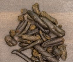 नाहन: पुलिस को देख नशा तस्कर ने लगा दी छलांग, धरे जाने पर 260 ग्राम चरस बरामद की ..