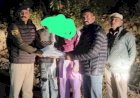 नाहन: 2 चरस तस्कर धरे. पुलिस एसआईयू टीम ने शिलाई में 712 ग्राम चरस पकड़ी...