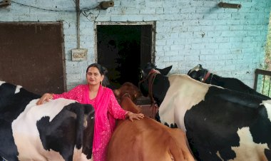 सोनिका बनीं आत्मनिर्भरता की मिसाल, डेयरी फार्मिंग से रच रहीं सफलता की नई कहानी