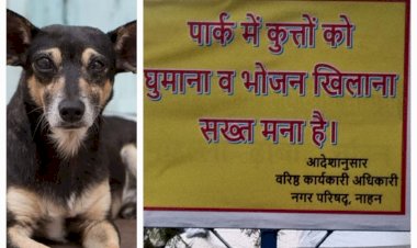 अब पार्किंग कर्मचारी को काटा कुत्ता, नप प्रशासन हरकत में लगाया  सार्वजनिक पार्को में लगाया प्रतिबंध...