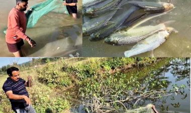 मुख्यमंत्री कार्प मत्स्य पालन योजना: ग्रामीण आजीविका व स्वरोजगार की नई राह