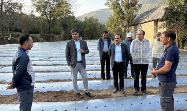 सरकाघाट और  जोगिंदर नगर में जाइका निदेशक का दो दिवसीय दौरा