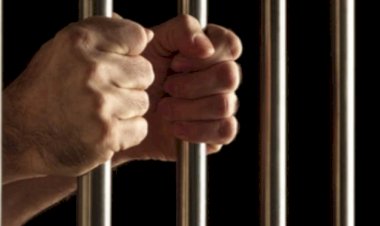 नाहन: हिरासत लिया पूर्व मुजरिम 5 दिन के पुलिस रिमांड पर,माजरा क्षेत्र में लाखों के जेवरात पर किया था हाथ साफ...