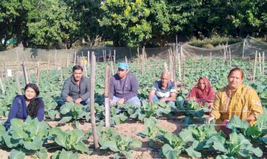 हिम कृषि योजना: पहाड़ की खेतिहर विरासत को नई दिशा देती एक पहल