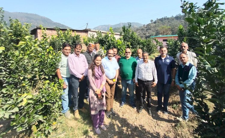 दुबई प्रतिनिधिमंडल ने एचपी शिवा परियोजना के फलों एवं कट फ्लावर के निर्यात में दिखाई गहरी रुचि