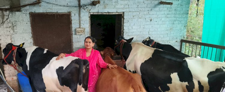 सोनिका बनीं आत्मनिर्भरता की मिसाल, डेयरी फार्मिंग से रच रहीं सफलता की नई कहानी