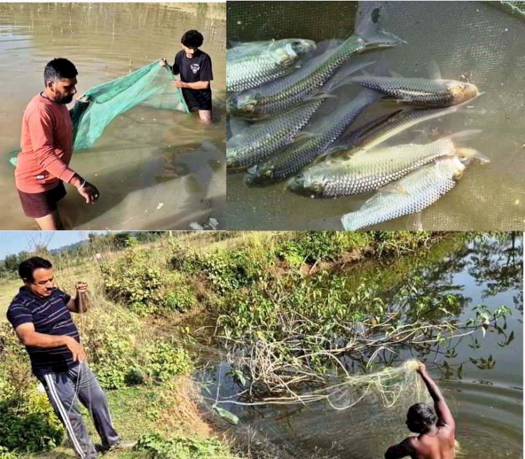मुख्यमंत्री कार्प मत्स्य पालन योजना: ग्रामीण आजीविका व स्वरोजगार की नई राह
