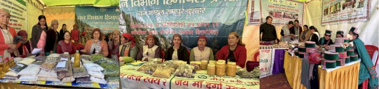 जाइका वानिकी परियोजना दिखा रही आत्मनिर्भरता से आमदनी की राह