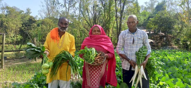 सफलता की कहानी... ढाई से तीन लाख रुपये तक का मुनाफा कमा रहे हैं कमल किशोर और कुसुम लता