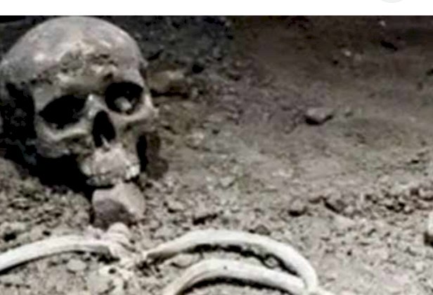 नाहन: नरकंकाल की अभी नहीं हुईं शिनाख्त..पहचान के लिए कंकाल मेडिकल कॉलेज में रखा...