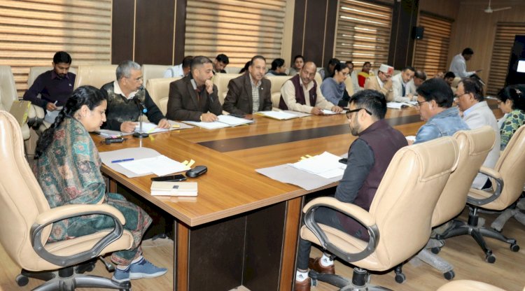 गर्भवती महिला को सही पोषण की जानकारी उपलब्ध करवाए विभाग- उपायुक्त