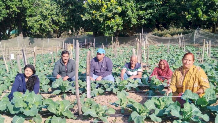 हिम कृषि योजना: पहाड़ की खेतिहर विरासत को नई दिशा देती एक पहल