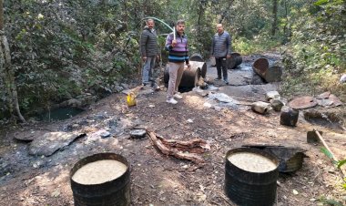 नाहन: खारा के जंगलों में 2600 लीटर कच्ची शराब , 4 भट्टियां नष्ट की माजरा पुलिस ने....