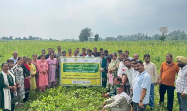 उन्नत कृषि विधियां अपनाएं किसान