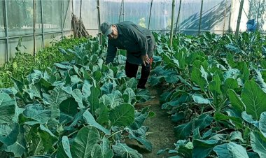 प्राकृतिक खेती ने बदल दी अमर सिंह और उनके परिवार की जिंदगी