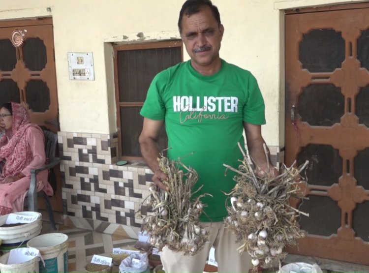 प्राकृतिक खेती पर अंतर्राष्ट्रीय सम्मेलन में भी गूंजा गांव हरनेड़ का नाम