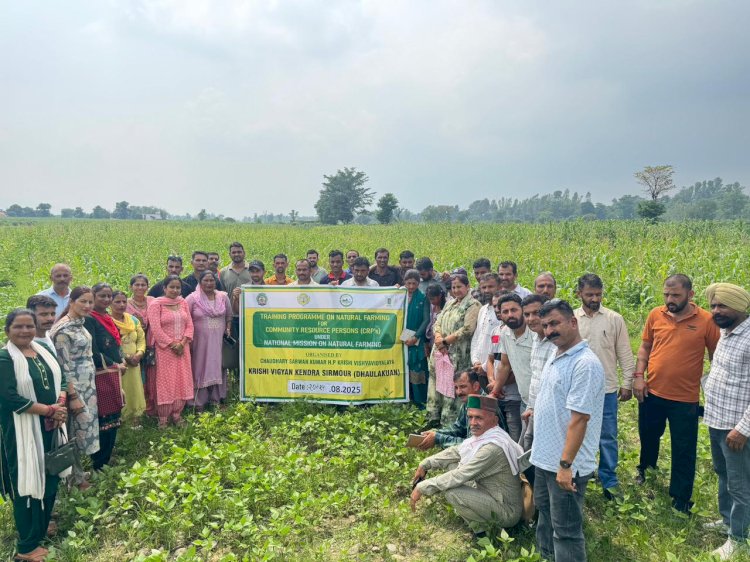 उन्नत कृषि विधियां अपनाएं किसान