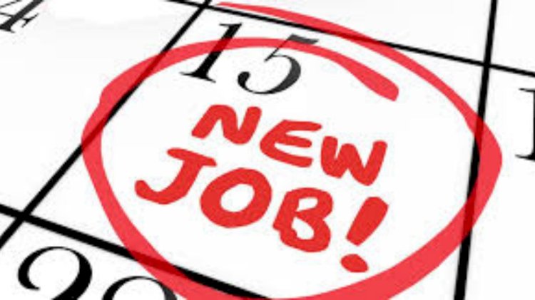 सिरमौर  : कमरऊ, शिलाई, राजगढ़ व सराहां में आयोजित होंगे कैम्पस  इंटरव्यु