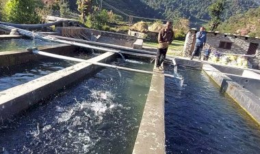 ‘व्यवस्था परिवर्तन’ से राज्य में नीली क्रान्ति का हो रहा आगाज