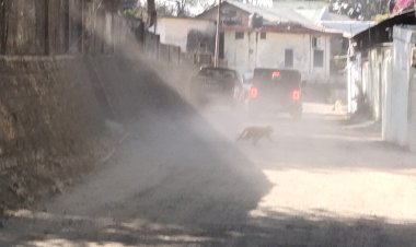 नाहन: विकास के नाम पर धूल उड़ रही है इस वीआईपी रोड़ पर, टारिंग के लिए तापमान बढ़ने की इंतजार में   पीडब्ल्यूडी...