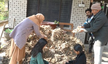 प्राकृतिक खेती में है बड़ी कमाई, रिटायर्ड प्रिंसिपल ने कई क्विंटल हल्दी उगाई