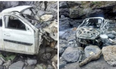 नाहन : रोनहाट में कार गहरी खाई में गिरी,18 वर्षीय युवक की मौत दो अन्य घायल...