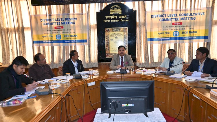 जिला में एनपीए हो चुके खातों की संख्या कम करने की दिशा में कार्य करें बैंक - उपायुक्त