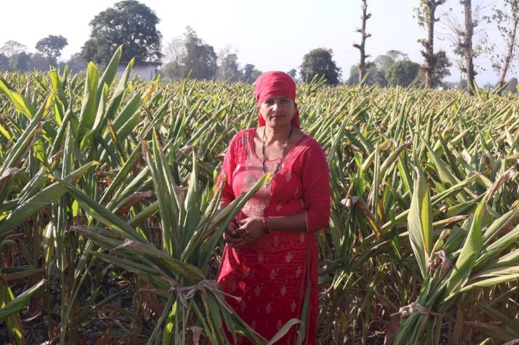 नाहन : प्रदेश के किसानों की आर्थिकी को सुदृढ़ कर रही प्राकृतिक खेती खुशहाल किसान योजना